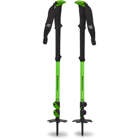 Bâtons de ski alpin Black Diamond Expedition WR 3 green