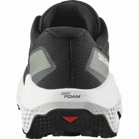 Chaussures homme Salomon Ultra Flow 2