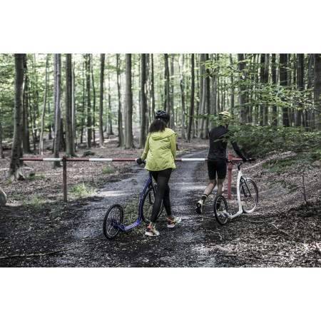 Trottinette Yedoo Trexx