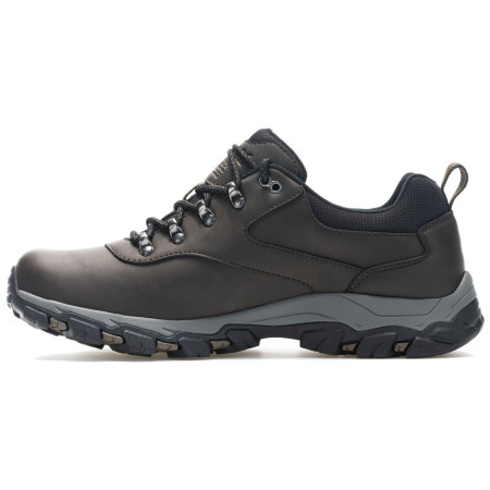 Chaussures homme Regatta Holcombe Classic Low