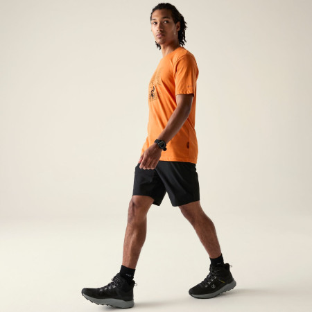 Shorts homme Dare 2b Torrek Lite Short