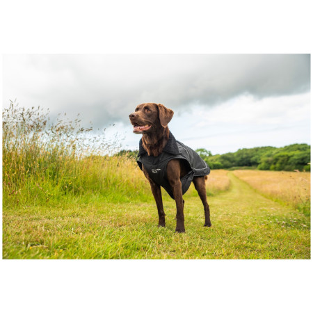 Imperméable pour chien Mountain Paws Fleece-Lined Dog Raincoat