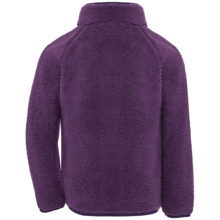 Sweatshirt enfant Didriksons Gibbs Kids Fullzip 2 Northen Purple
