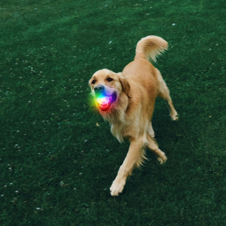Jouet pour chien Nite Ize Glowstreak Rechargeable Led Ball