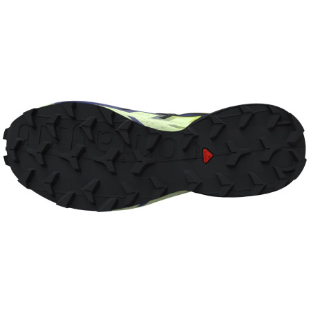 Chaussures de running hommes Salomon Speedcross 6
