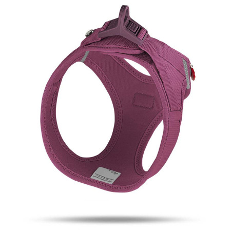 Harnais pour chien Curli Vest Clasp Air-Mesh