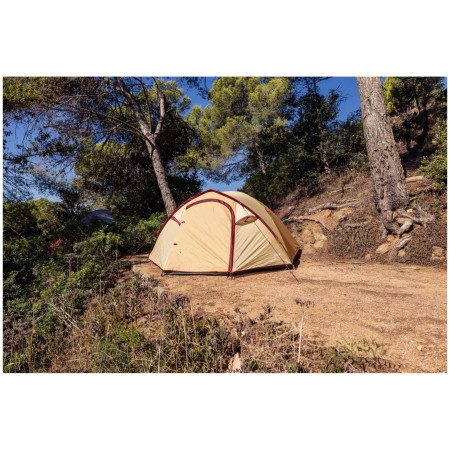 Tente de randonnée Coleman Darwin Summer 4 Plus