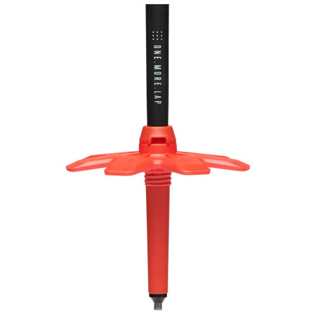 Bâtons de ski alpin Black Diamond Traverse Ski Poles