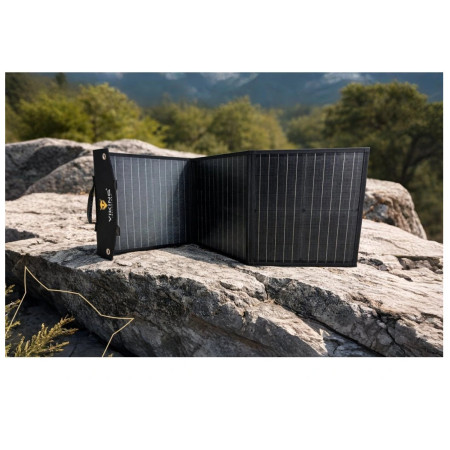 Panneau solaire Viking Technology Viking L60 PD