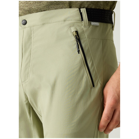 Pantalon homme Regatta Mountain Z/O Trousers