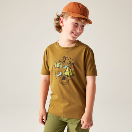 T-shirt enfant Dare 2b Trailbazer III Tee Dark Cumin