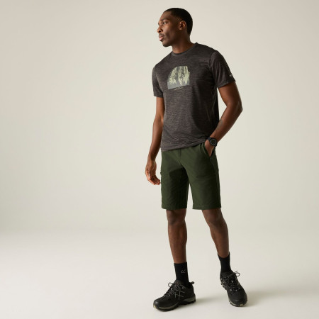 Shorts homme Regatta Highton Shorts Long II