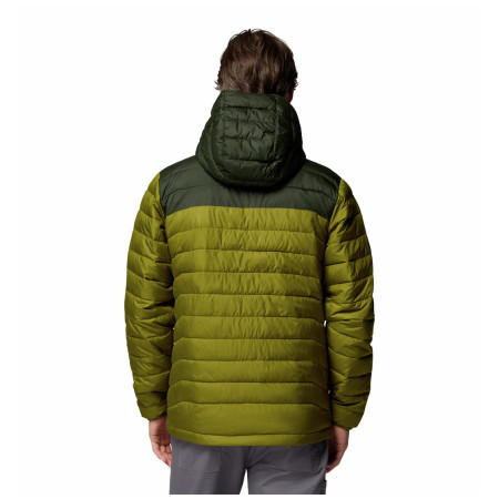 Veste homme Columbia Powder Lite™ II Hooded Jacket