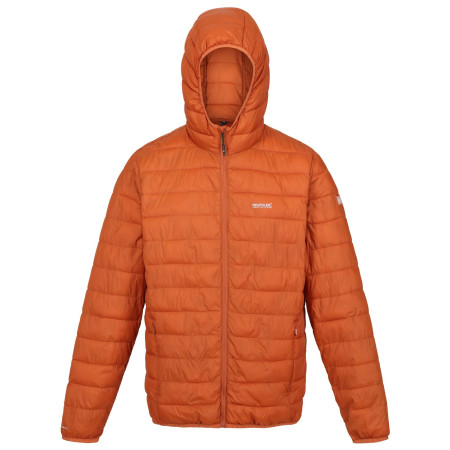 Veste d'hiver homme Regatta Hooded Hillpack brun Burnt Copper