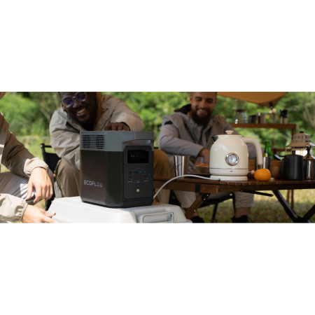 Station de charge EcoFlow Delta 2