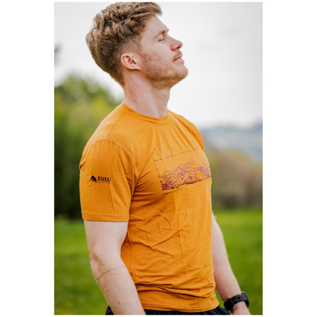 T-shirt homme Zulu Bambus Alpine 210 Short