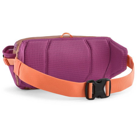 Sac banane Patagonia Black Hole Waist Pack 5L