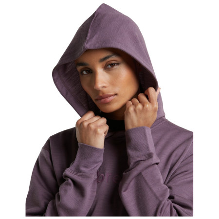 Veste polaire fonctionnelle femme Icebreaker W Mer 360 RealFleece Elemental LS Hood