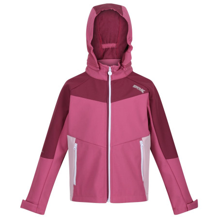 Veste enfant Regatta Eastcott II violet Violet/AmaHz