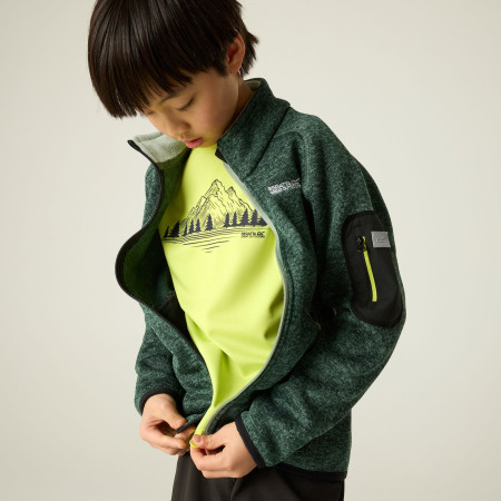 Sweatshirt enfant Regatta Junior Newhill DrkForGlacGr