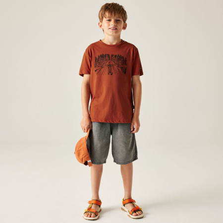 T-shirt enfant Dare 2b Trailbazer III Tee Arabian Spice