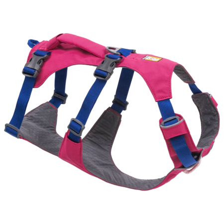 Harnais pour chien Ruffwear Flagline™ Harness rose Alpenglow Pink