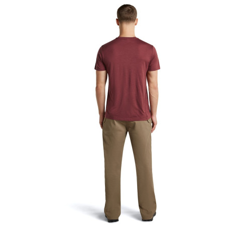 T-shirt fonctionnel homme Icebreaker Men Merino 150 Tech Lite SS Tee Transportage