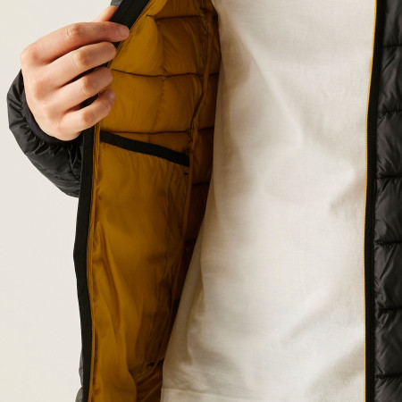 Veste homme Regatta Asper