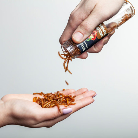 Vers comestibles Sens Paquet cadeau 4 saveurs