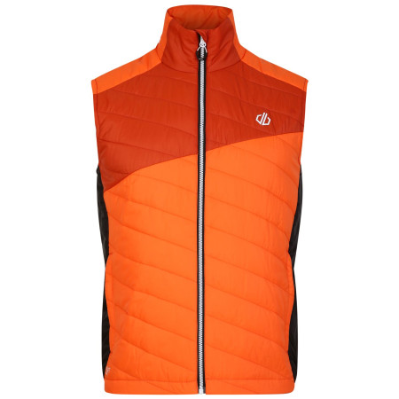 Gilet homme Dare 2b Touring Gilet orange Puffins Orange/Rooibos Tea