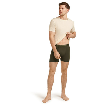 Caleçon homme Icebreaker Mens Anatomica Boxers