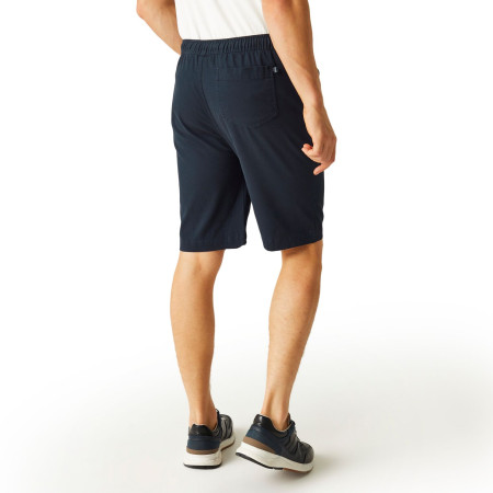 Short homme Regatta Aldan Short