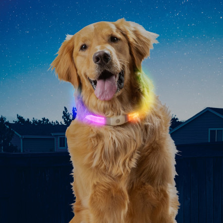Collier lumineux pour chien Nite Ize NiteHowl Max LED