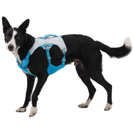 Harnais pour chien Ruffwear Swamp Cooler Harness