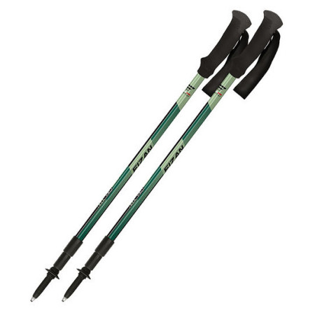 Bâtons randonnée Fizan Trek Pro