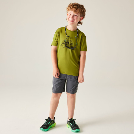 T-shirt enfant Dare 2b Amuse III Tee Goldn Cypress