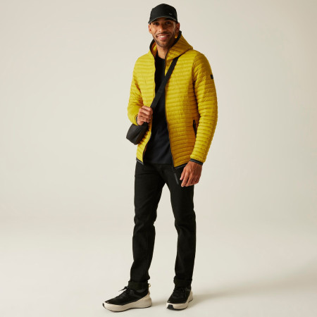 Veste homme Regatta Rigain