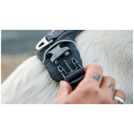 Harnais pour chien Ruffwear Front Range® Harness