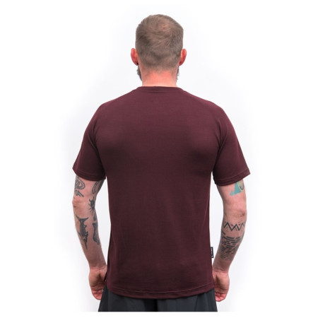 T-shirt fonctionnel homme Sensor Merino Blend Elements