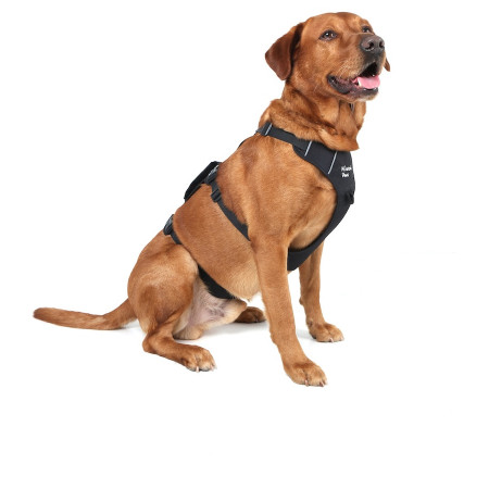 Harnais pour chien Mountain Paws 3-Strap Dog Harness