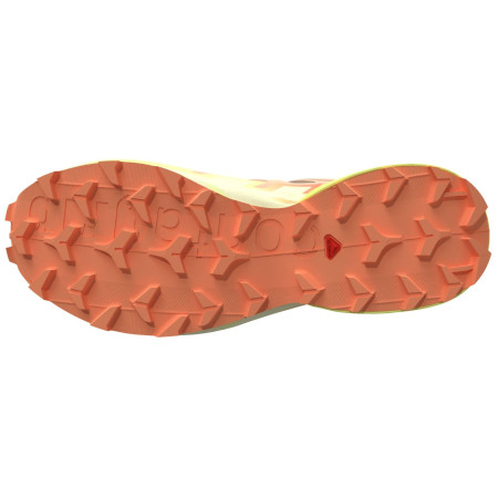 Chaussures running femme Salomon Speedcross 6