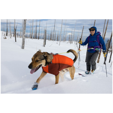 Vêtement pour chien Ruffwear Powder Hound Jacket
