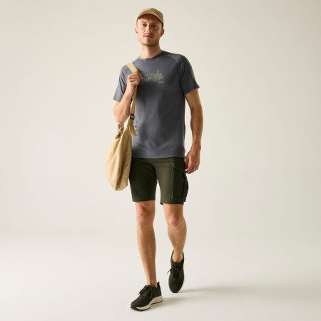 Shorts homme Regatta Bendrick Shorts