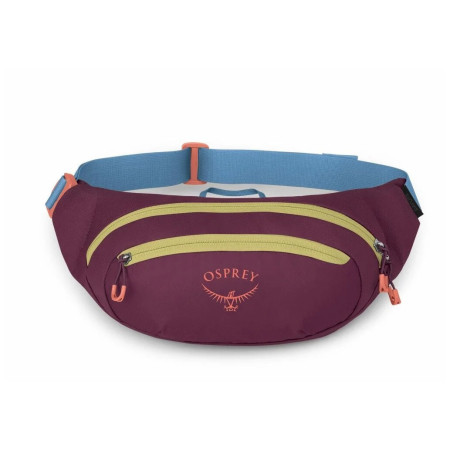 Sac banane Osprey Daylite Waist Pack