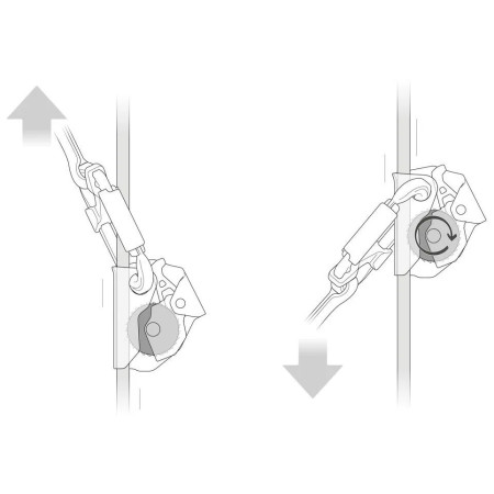 Antichute Petzl Asap