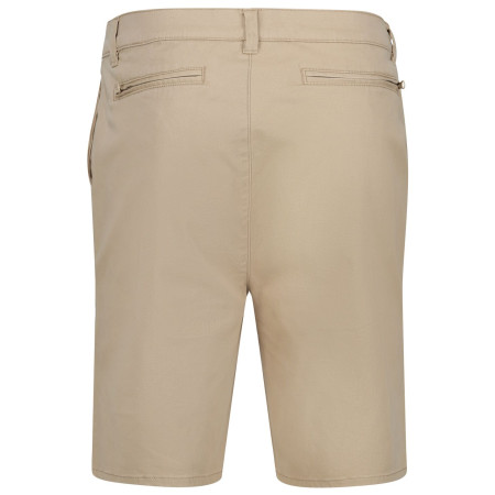Short homme Regatta Sabden Short