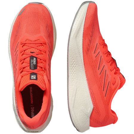 Chaussures de running hommes Salomon Aero Blaze 3