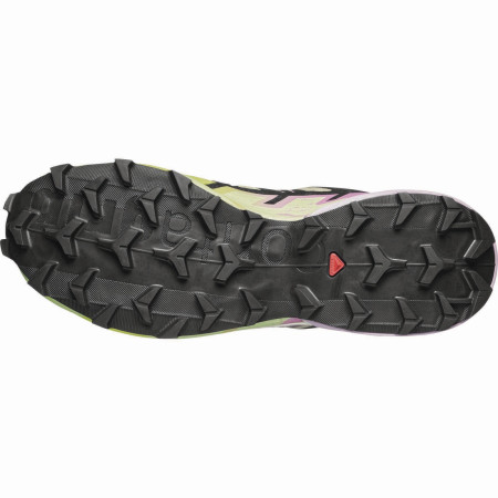 Chaussures femme Salomon Speedcross 6 Gore-Tex