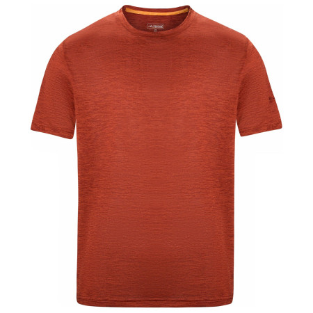 T-shirt homme Regatta Fingal Edition
