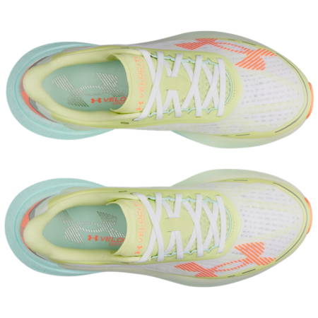 Chaussures homme Under Armour Velociti Distance